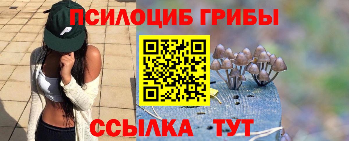 Галлюциногенные грибы Psilocybine cubensis Выборг
